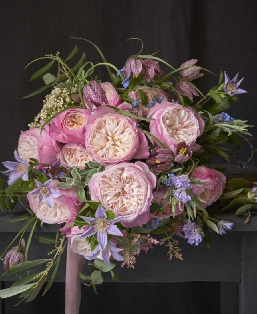 Garden Rose Reverie
