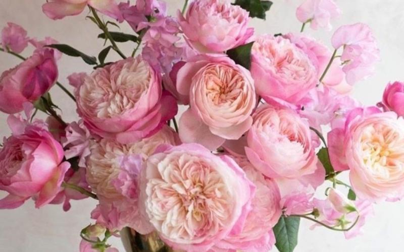 Beautiful Flower Gift Ideas for Every Occasion in Kenya