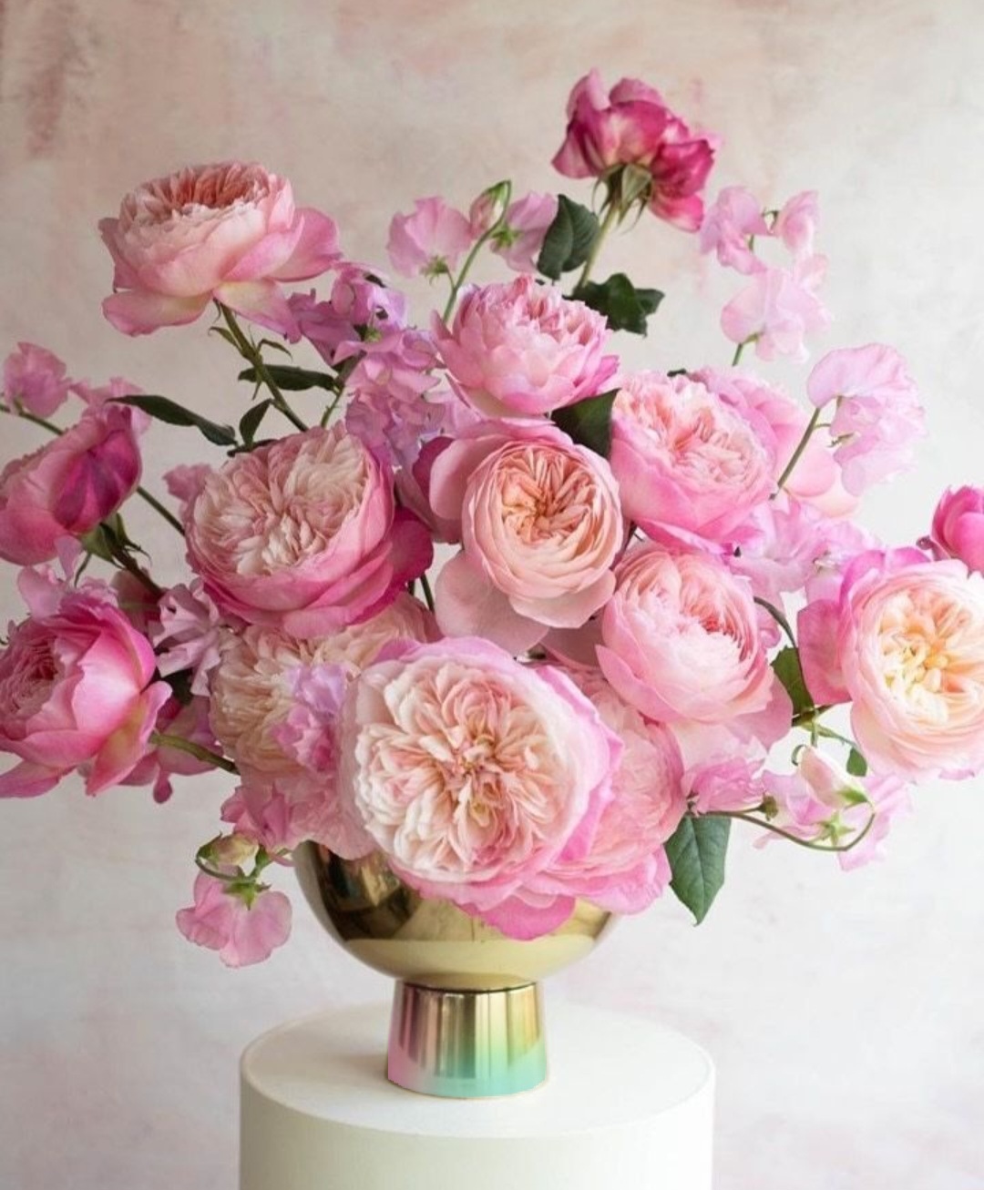 Garden Rose Reverie - Image 4