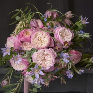 Garden Rose Reverie